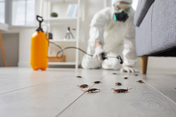 Post-Treatment Bed Bug Interceptor Monitoring in Tarentum
